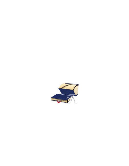 CARPETA ACORDEON Fº CARTON FORRADO AZUL 20 MOD 1 31